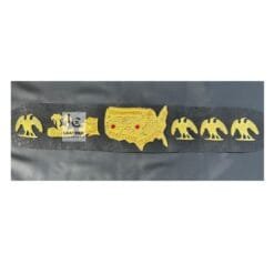 Old Era USA Heavyweight Championship Belt 9