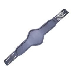 Compatible ROH Heavyweight Championship Belt Strap | CBS20