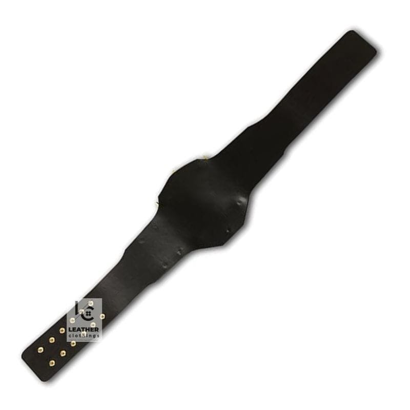 Compatible AWA World Heavyweight Championship Title Belt Strap | CBS35