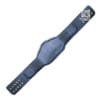 Compatible Strap For NWA Global World Heavyweight Championship Belt | CBS30