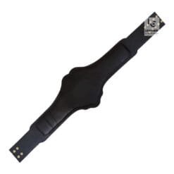Compatible TNA Heavyweight Championship Belt Strap | CBS38