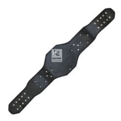 Compatible UFC Legacy Championship Belt Strap | CBS41