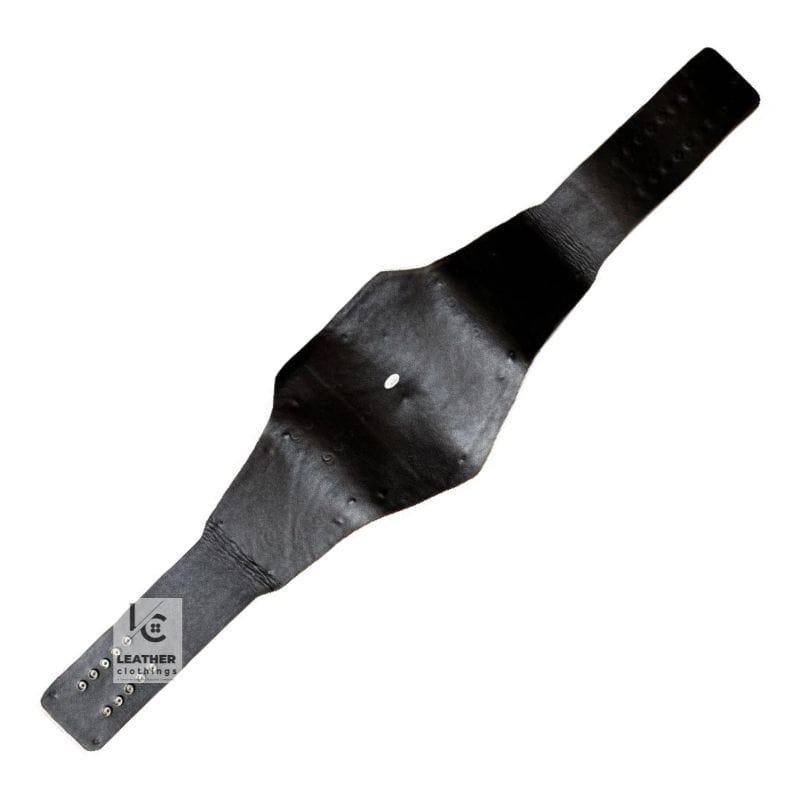 Compatible WWE Championship Belt Strap CBS42