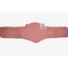 Replacement Strap For NWA National Championship Belt | CBS22