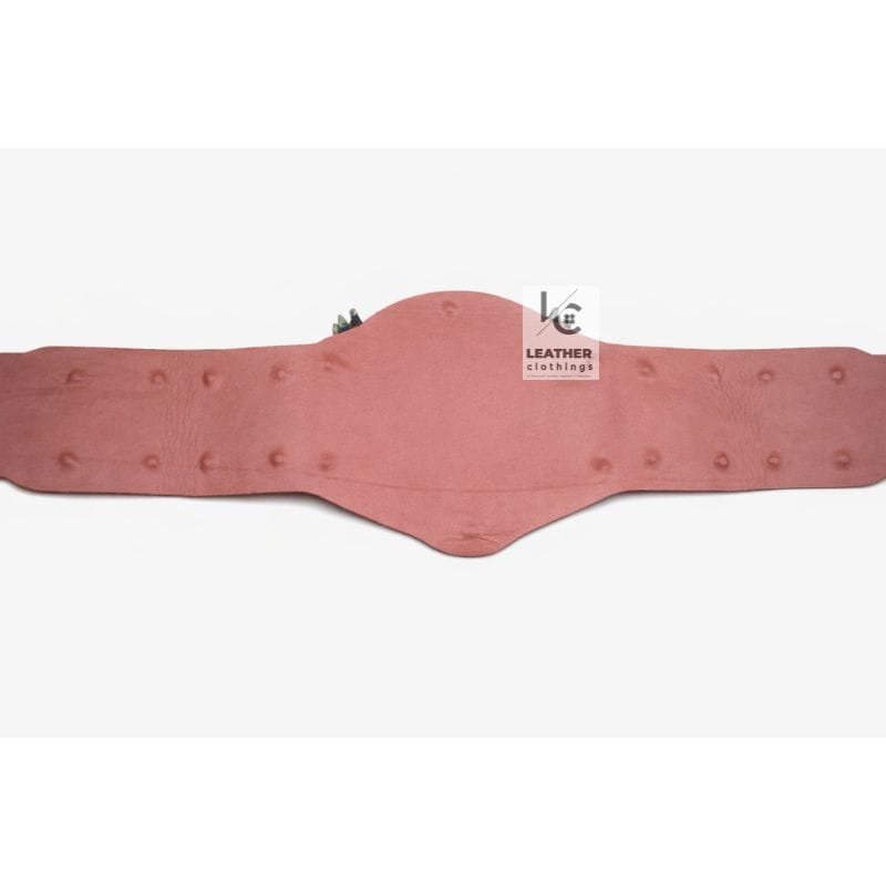 Replacement Strap For NWA National Championship Belt | CBS22