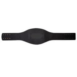 Compatible AAA Mega Champion Replica Title Belt leather strap