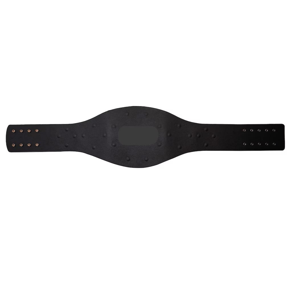 Compatible AAA Mega Champion Replica Title Belt leather strap